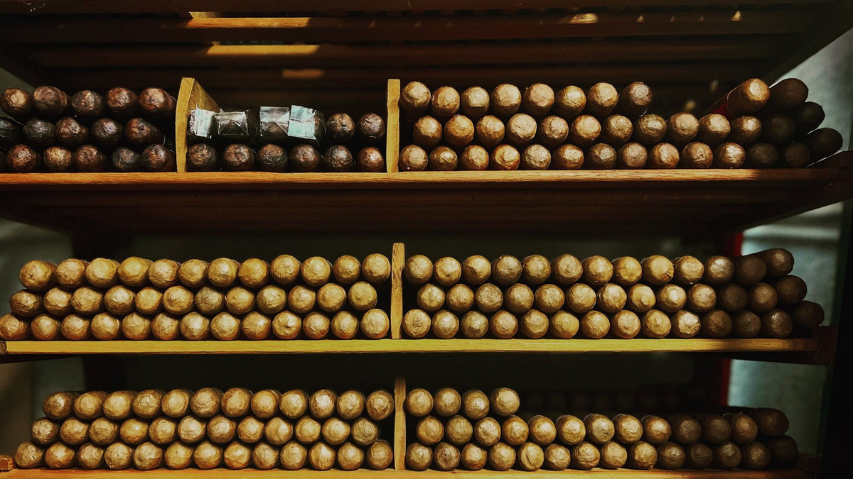 Shelves of hand-rolled cigars stacked in a cedar humidor