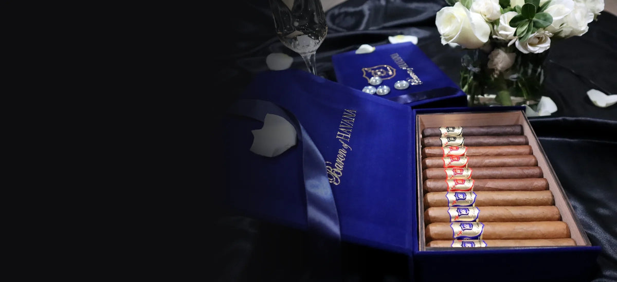 An open Baron of HAVANA velvet box of cigars on black satin with white roses and champagne