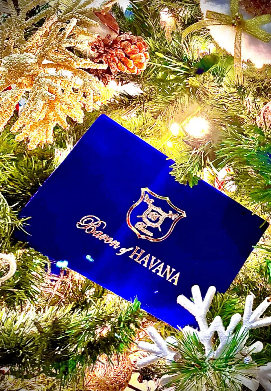 A Baron of HAVANA velvet box among the branches of a Christmas tree